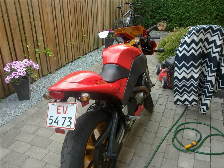 Buell XB 12R solgt billede 3