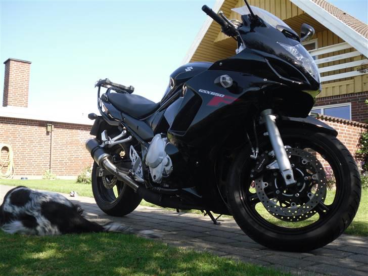 Suzuki GSX 650 F (SOLGT) billede 1
