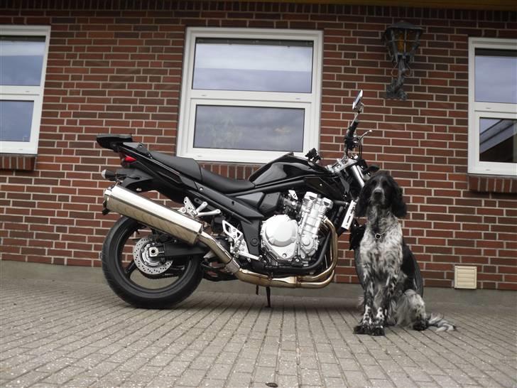 Suzuki GSF 1250 K8 (solgt) billede 20