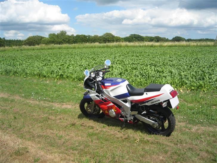 Yamaha FZR 600 Us Solgt billede 8