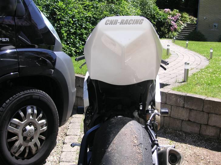 Honda CBR1000RR (solgt) - Præcis sådan kan jeg godt li en røv - lille og stram billede 7