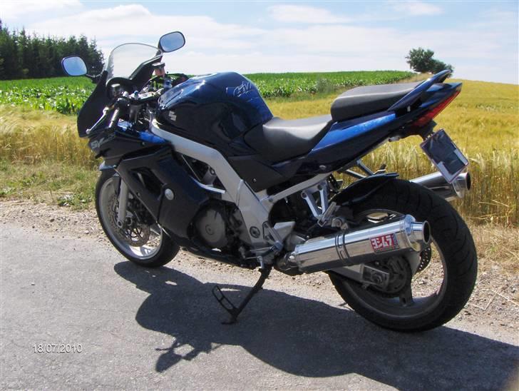 Suzuki SV1000S (SOLGT) billede 8