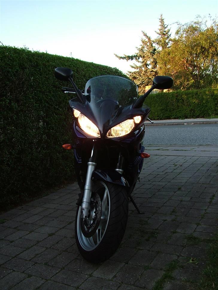 Yamaha FZ6-S Fazer billede 2
