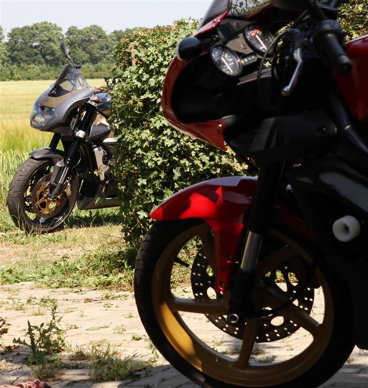 Aprilia RSV 1000 Tuono - Storebror og "lillesøster"  billede 8