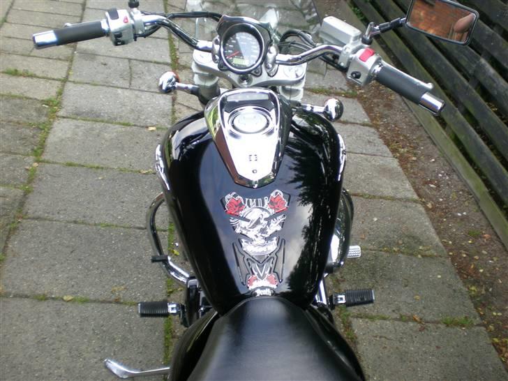 Suzuki m800 billede 6