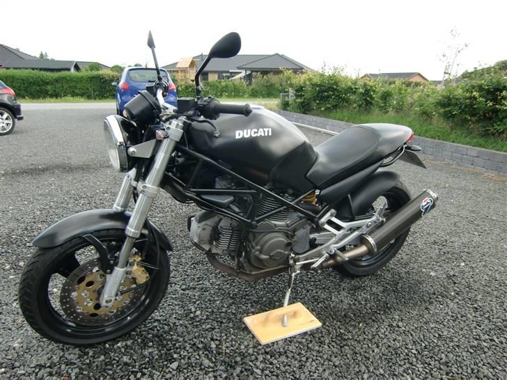 Ducati Monster 600 billede 2