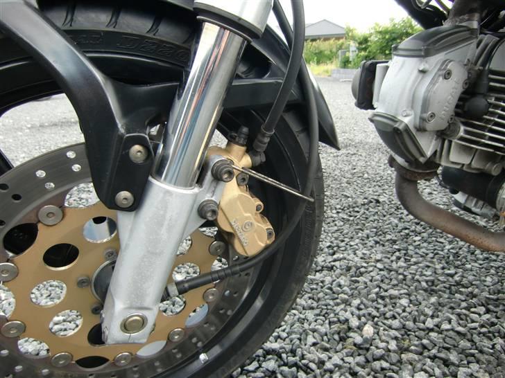 Ducati Monster 600 billede 4