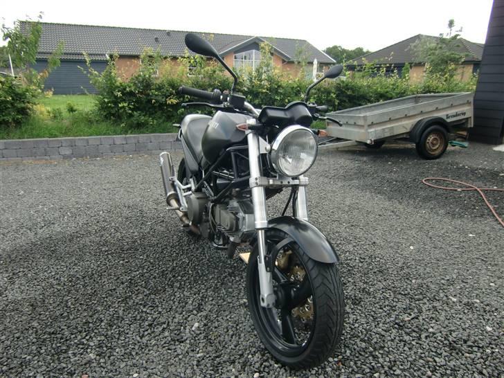 Ducati Monster 600 billede 5