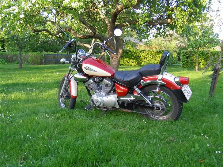 Yamaha xv 250 s virago billede 2