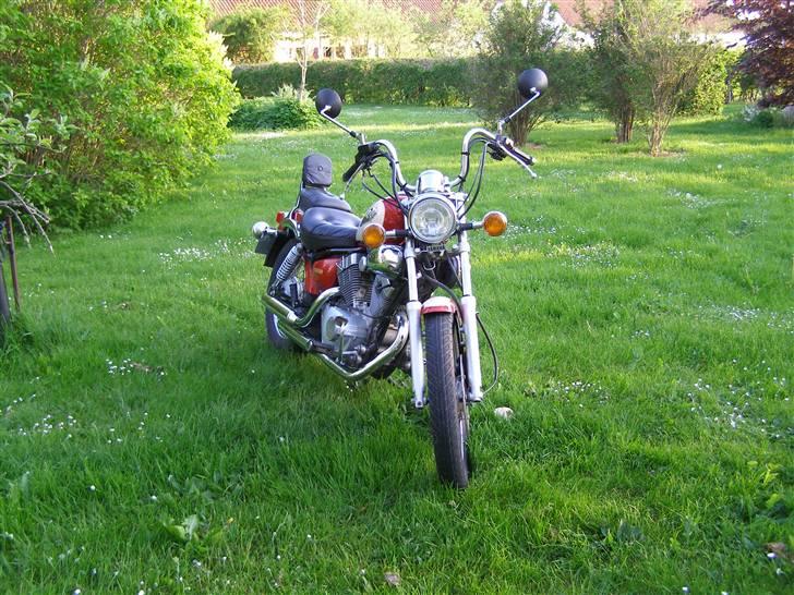 Yamaha xv 250 s virago billede 4