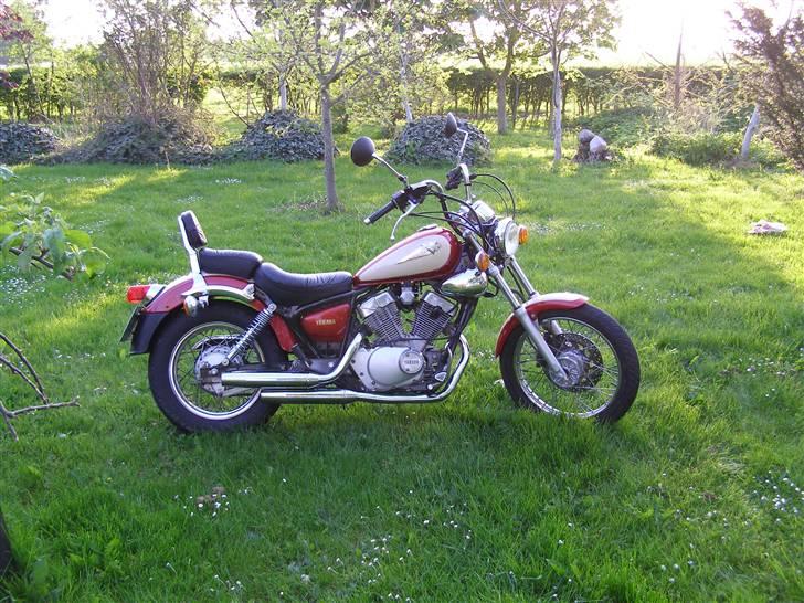 Yamaha xv 250 s virago billede 5