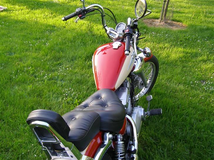 Yamaha xv 250 s virago billede 6