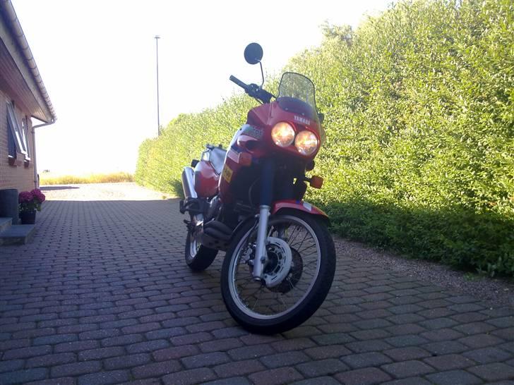 Yamaha Xtz 750 Super Tenere billede 1