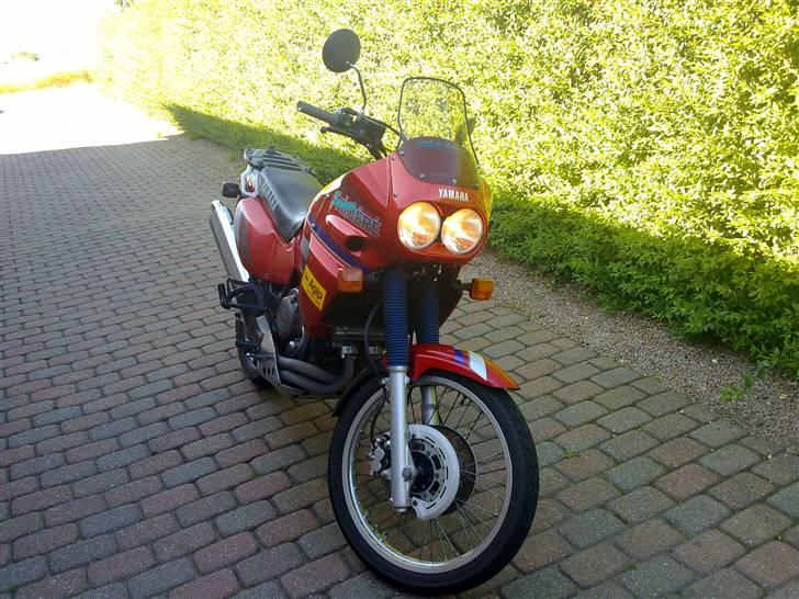 Yamaha Xtz 750 Super Tenere billede 2