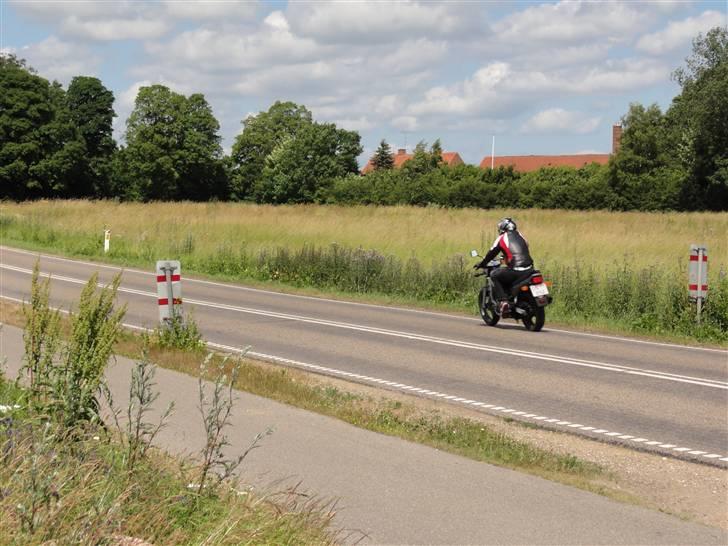 Suzuki Gs 500 e *SOLGT* billede 4