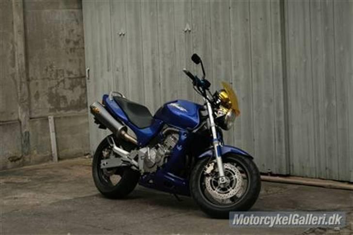 Honda CB 600 Hornet__Solgt__ billede 10