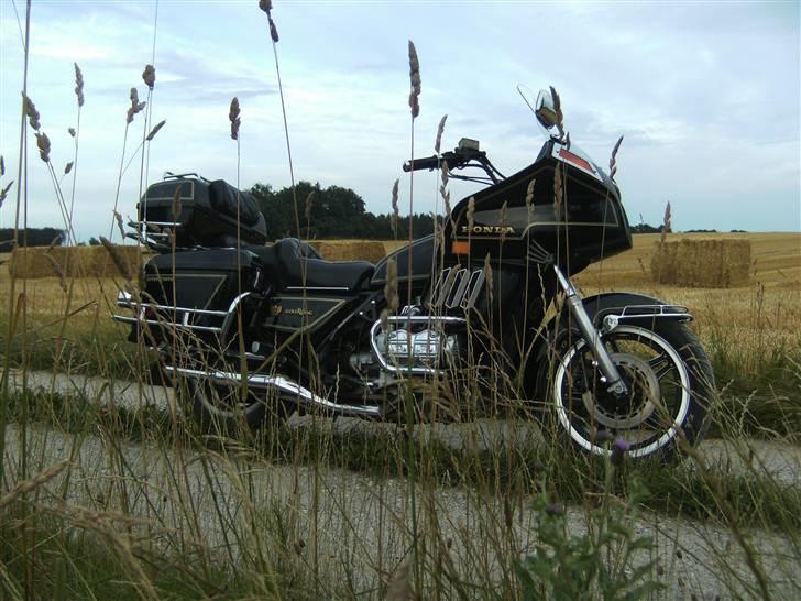 Honda GL 1100 Goldwing  billede 1