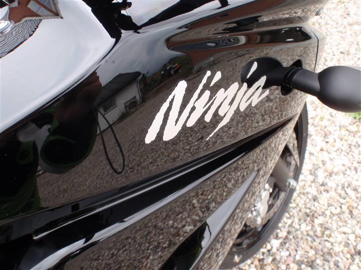 Kawasaki Ninja 250R billede 9