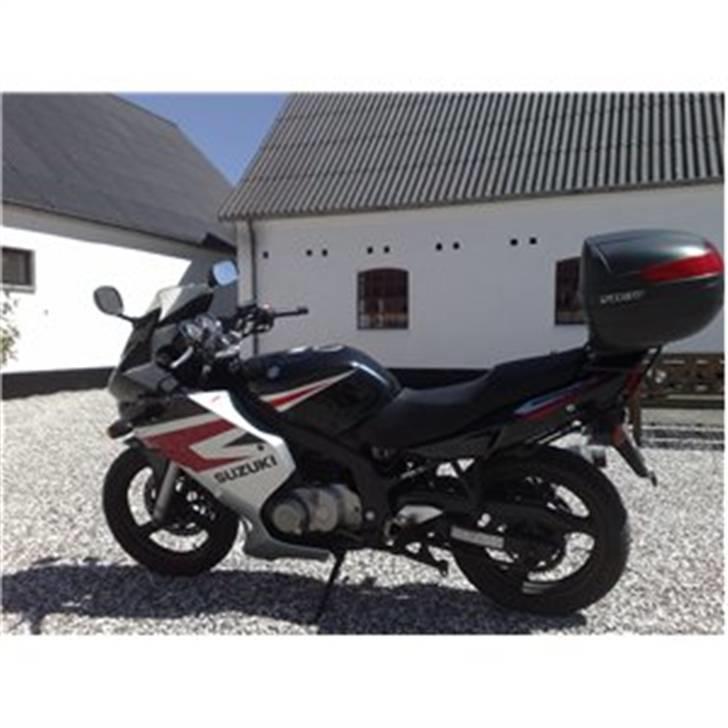 Suzuki GS 500F - før jeg fik den billede 2