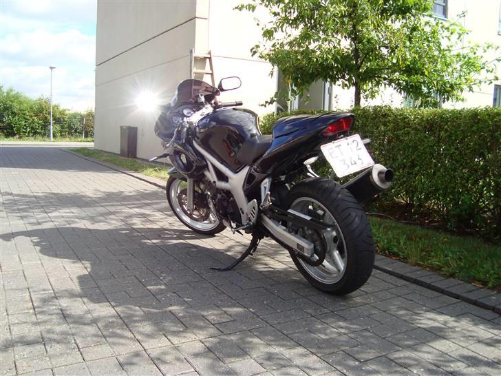 Suzuki SV 650S billede 2