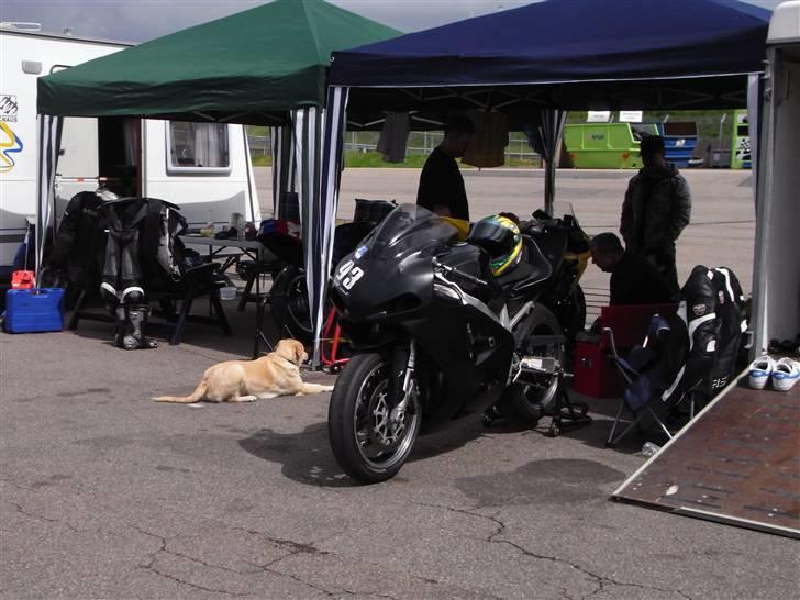 Suzuki gsx-r 600 Bane "Solgt" billede 15