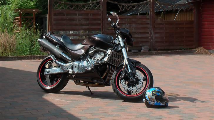 Honda Hornet billede 2