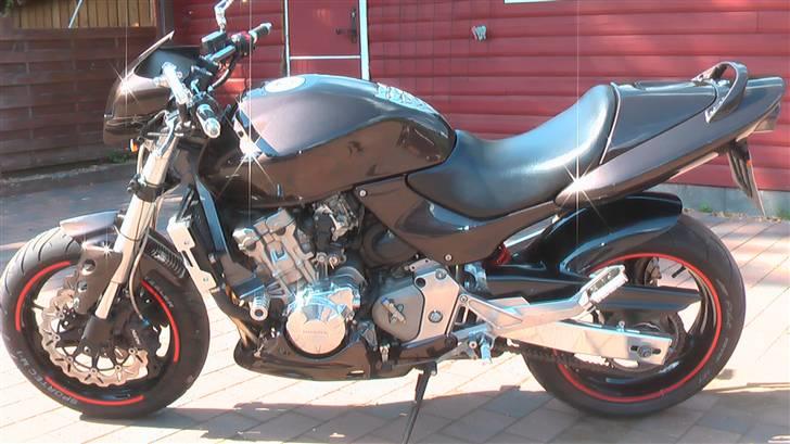 Honda Hornet billede 7