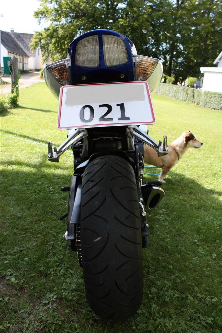 Suzuki gsxr 750 - Go røv. billede 8