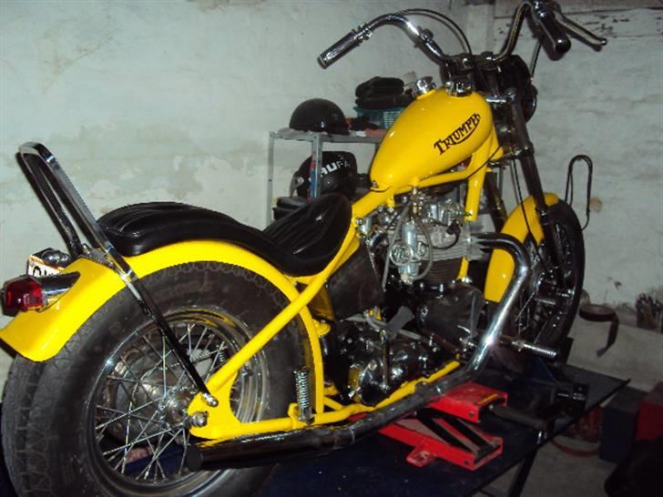 Triumph T100 billede 2