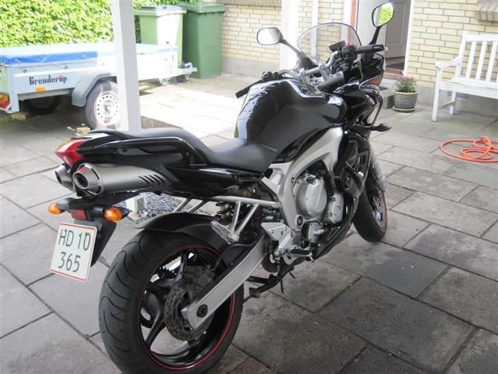 Yamaha FZ6-s billede 2
