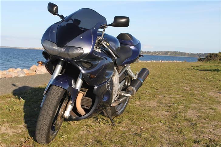 Suzuki TL 1000 billede 1