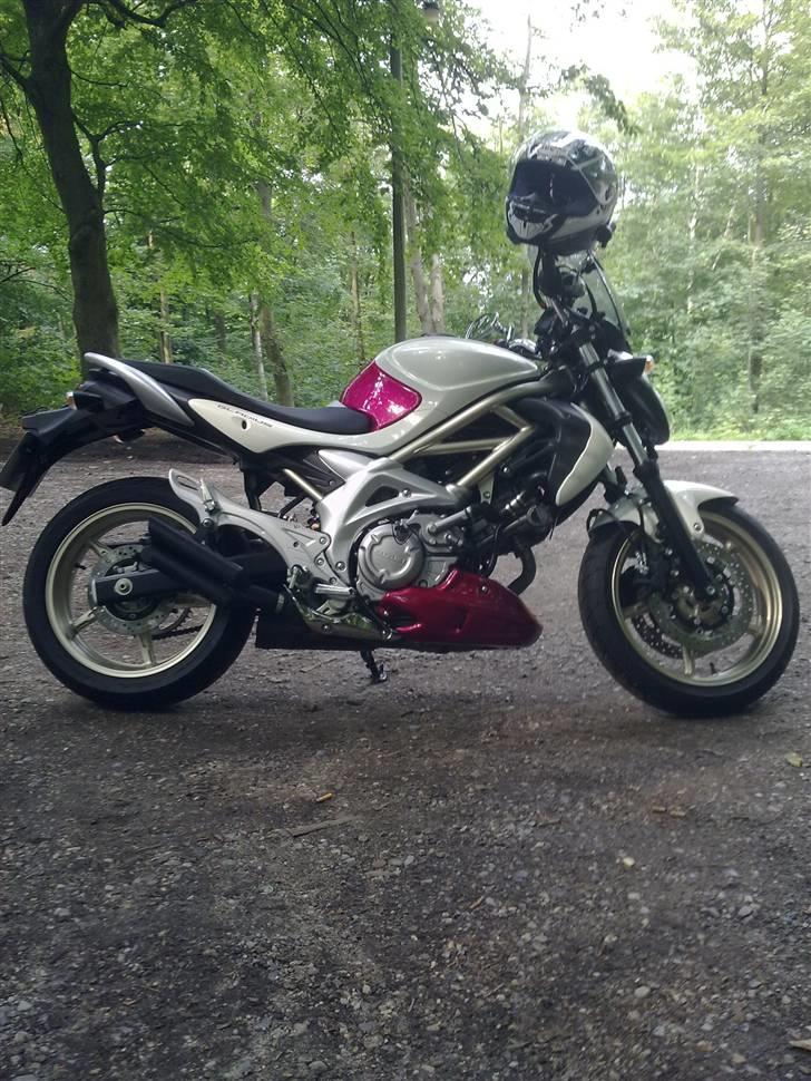 Suzuki Gladius sfv 650-solgt - Lydtestet i naturen.. NICE... hihi.. billede 13