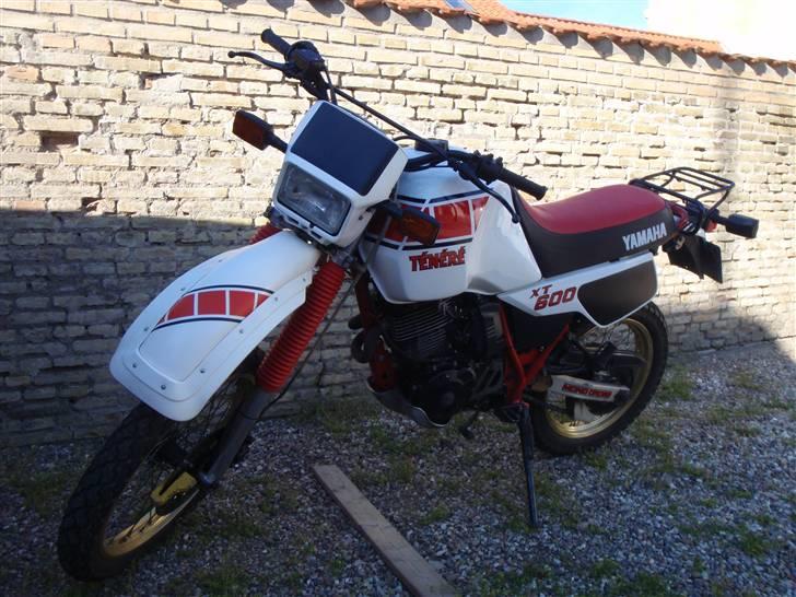 Yamaha XT 600 Z Ténéré 55W - Originalt udseende august 2010 billede 15