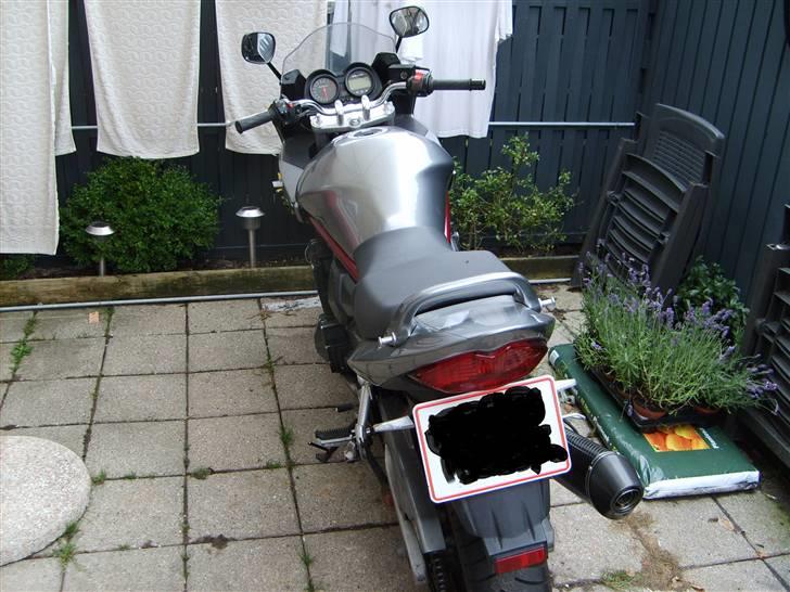 Suzuki GSF650/S billede 7