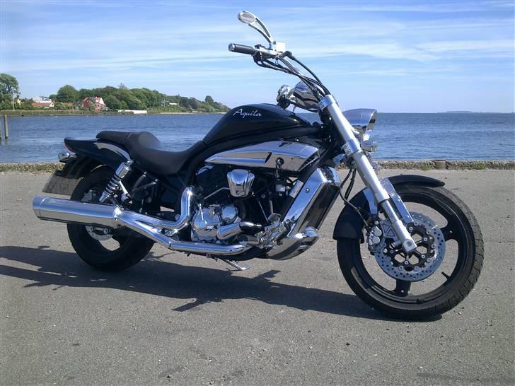 Hyosung gv650 - billedet taget ved Fåborg fjord billede 4