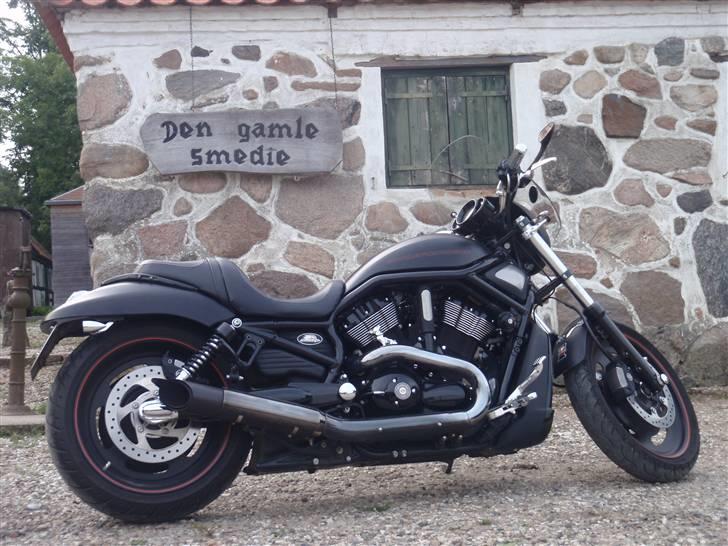 Harley Davidson V Rod Night Rod billede 1