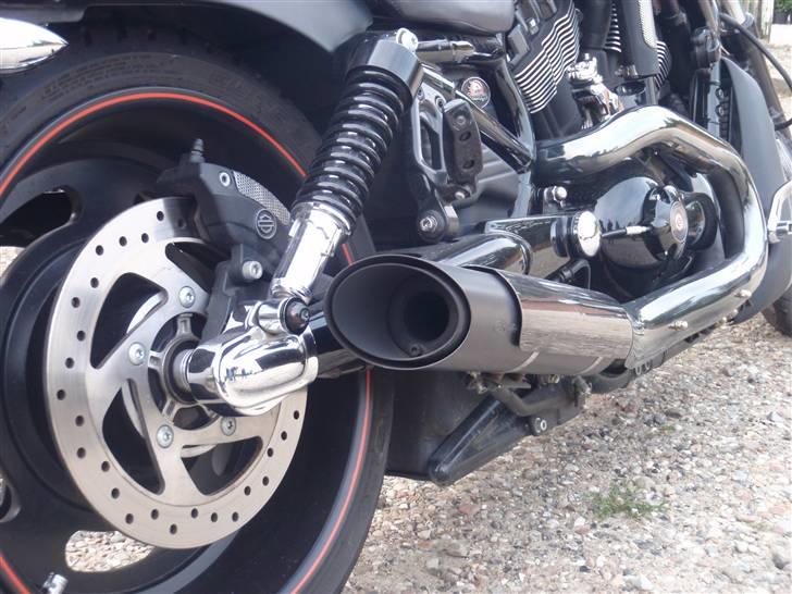 Harley Davidson V Rod Night Rod billede 3