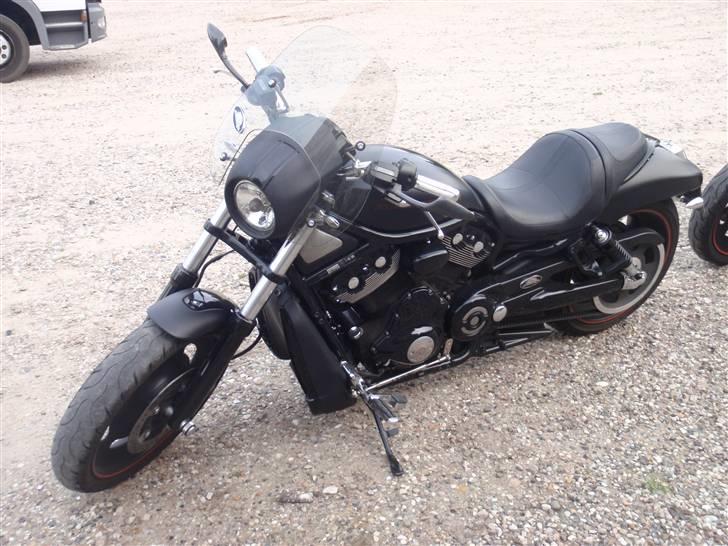 Harley Davidson V Rod Night Rod billede 5