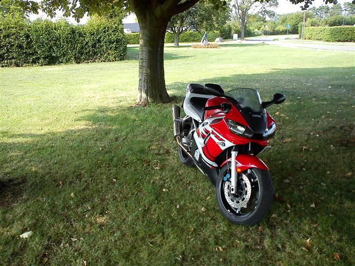 Yamaha YZF R6 *SOLGT* billede 8