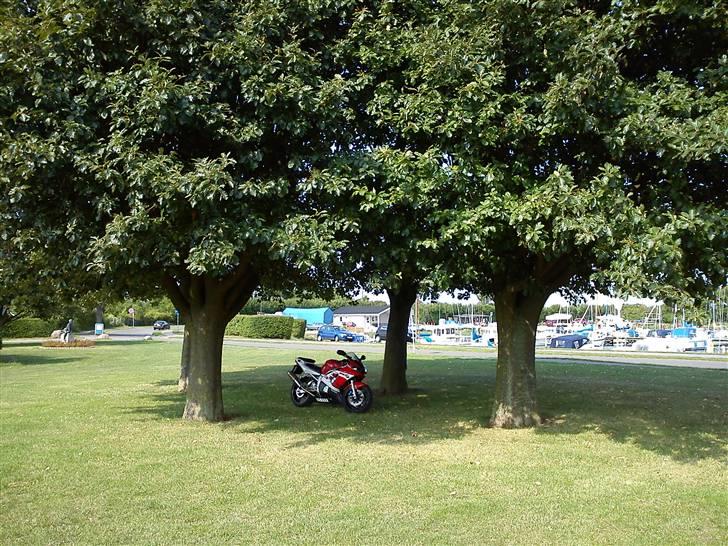 Yamaha YZF R6 *SOLGT* billede 13