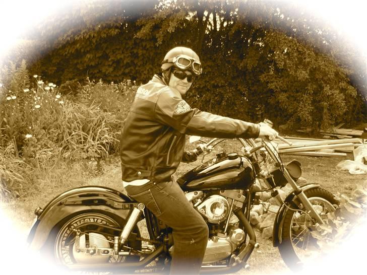 Harley Davidson sportster xlch billede 5