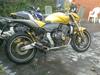 Honda CB600 Hornet pc41