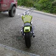 Harley Davidson late shovel