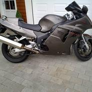 Honda cbr 1100 super blackbird 