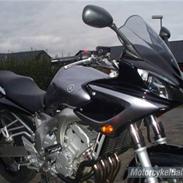 Yamaha FZ6s