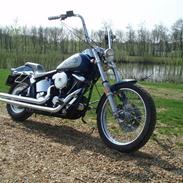 Harley Davidson softail