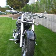 Yamaha Dragstar  "LOWRIDER"