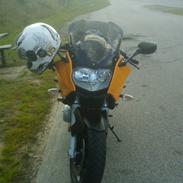 BMW F800S