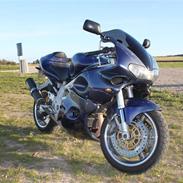 Suzuki TL 1000
