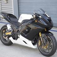 Kawasaki Ninja ZX6R 636 "Ninjababy" (Banejern)